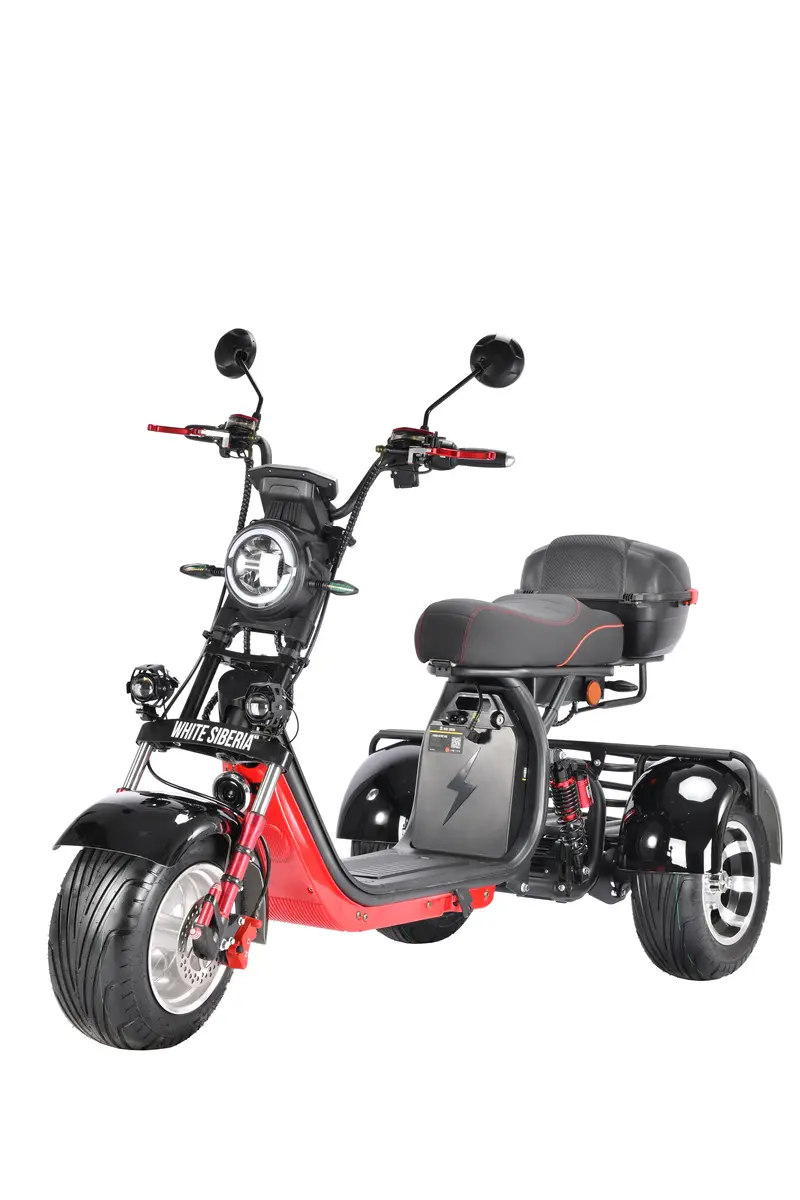 WHITE SIBERIA PRO TRIKE 3000W · Чёрный